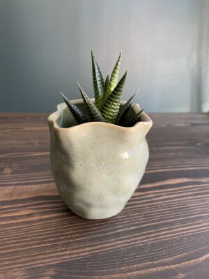 Maža “SHI SHI” vazelė