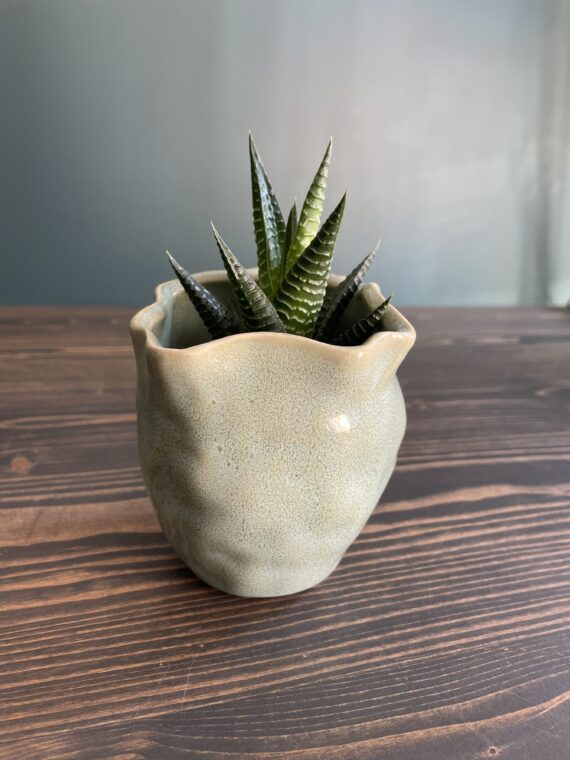 Maža “SHI SHI” vazelė