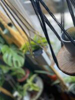 Makramė laikiklis gėlėms