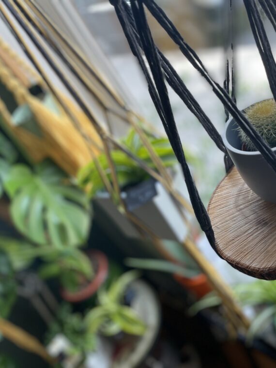 Makramė laikiklis gėlėms