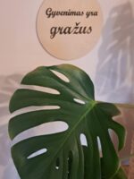 Graviruota dekoracija "Gyvenimas yra gražus"